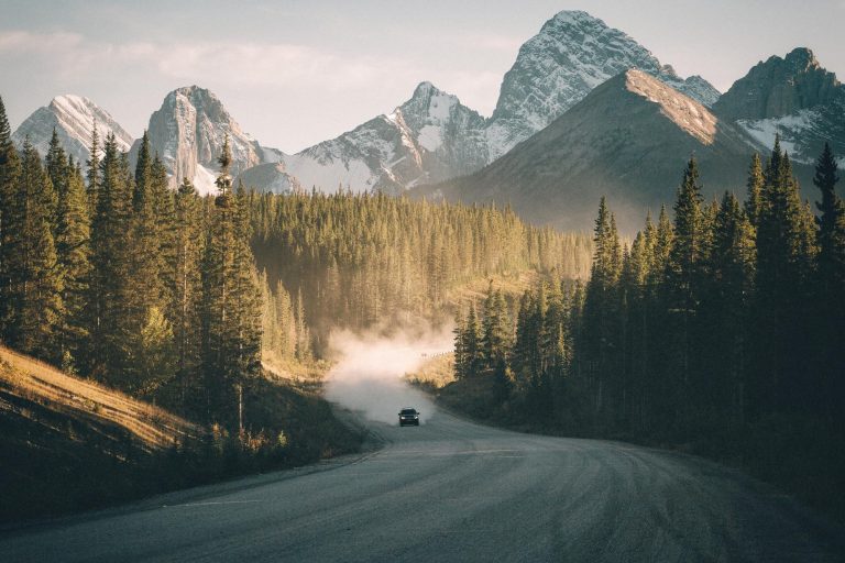 7974826