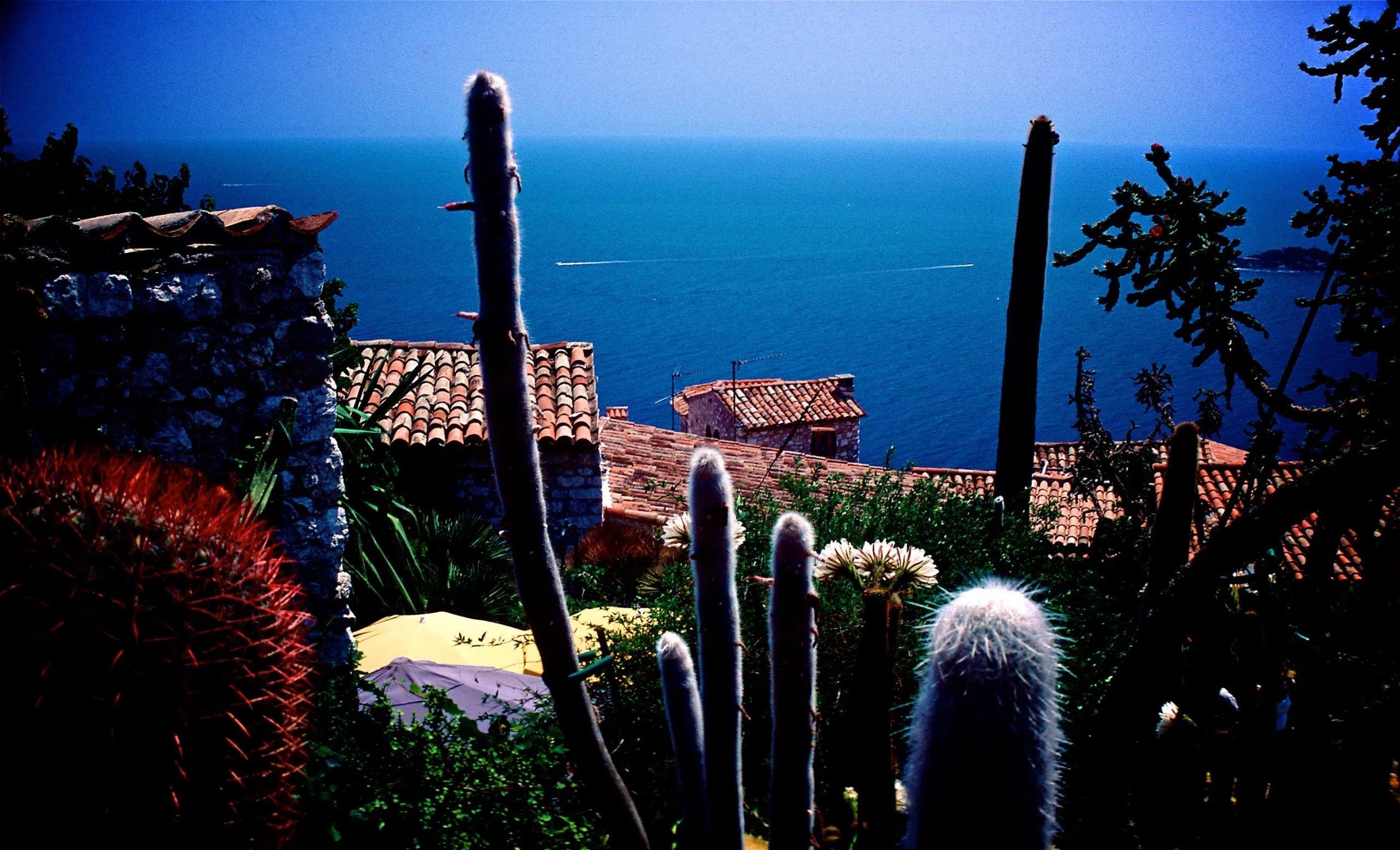 Landscapes & Seascape