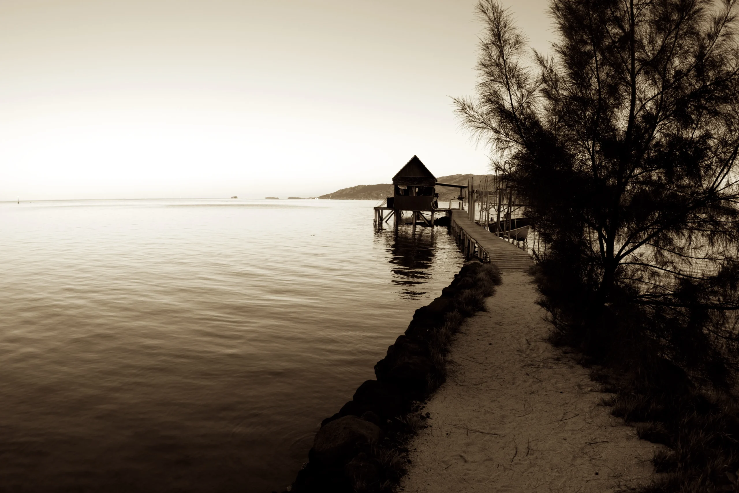 Landscapes & Seascape